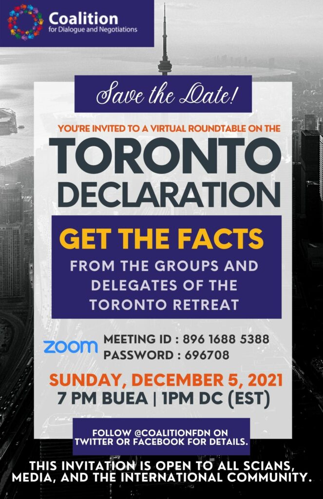 December 5, 2021 - Virtual Roundtable on the Toronto Declaration.